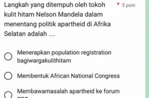 Langkah Yang Ditempuh Oleh Tokoh Kulit Hitam Nelson Mandela Dalam Menentang Politik Apartheid Adalah
