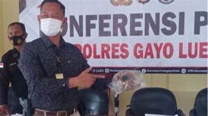 Warga Jengkel, Satpol Pp Gayo Lues Tangkap 5 Ekor Kambing Liar: Ada Unsur Politik Ternak?